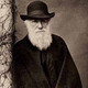Darwinsepia555