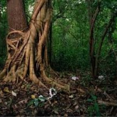 Timeline: Origins and Diffusion of English Language