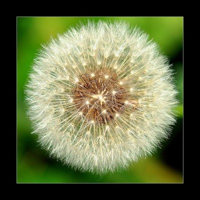 Timeline: Y lo que falta...