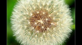 Timeline: Y lo que falta...