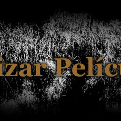 Timeline: Cañizar Películas