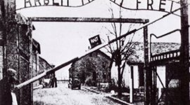 Timeline: SHOAH