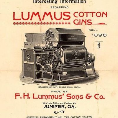 Timeline: Eli Whitney & Cotton Gin