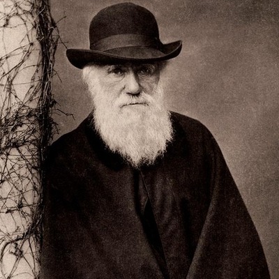 Timeline: Darwin y su Obra