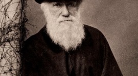 Timeline: Darwin y su Obra