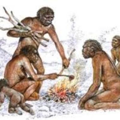 Timeline: Origen de la especie humana.