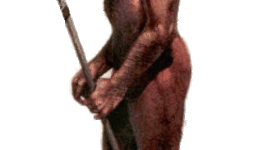 Timeline: La Evolución Biológica Humana