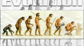 Timeline: Especie Humana