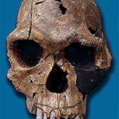 Timeline: El origen de la especie humana