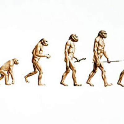 Timeline: Evolution Timeline