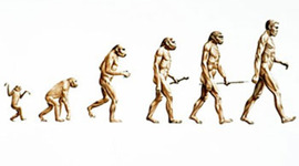 Timeline: Evolution Timeline