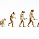 Timeline