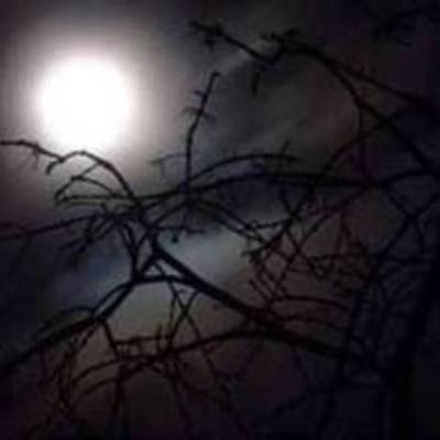 Timeline: Beethoven's Life  By: Ahnasia