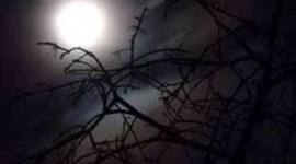 Timeline: Beethoven's Life  By: Ahnasia