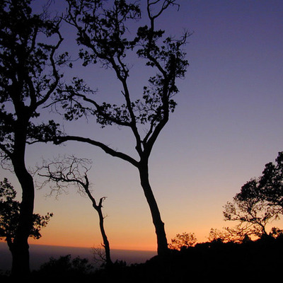 Timeline: Went to africa.