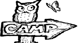 Timeline: Summer 2011