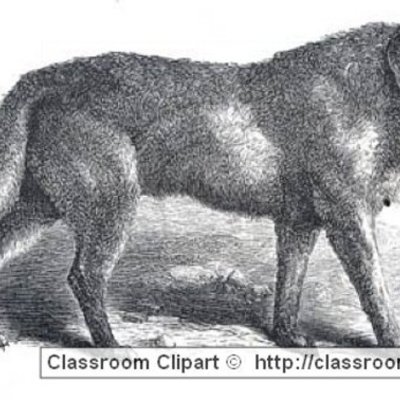 Timeline: Anna's life