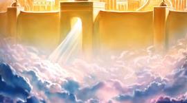 Timeline: Life Span Activity ML