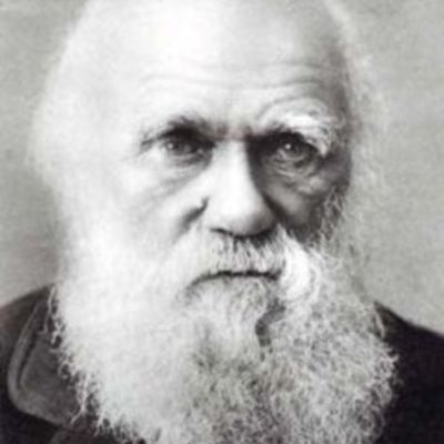 Timeline: Charles Darwin- Mario Monzón.