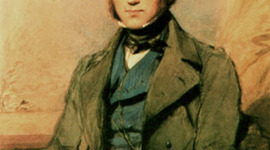 Timeline: Linea sobre Darwin