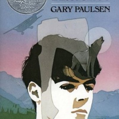 Timeline: hatchet timeline - triplett