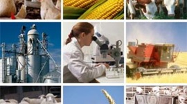 Timeline: Australian Agriculture