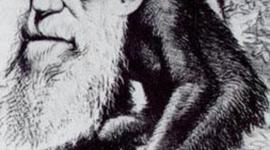 Timeline: Charles Darwin