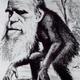 Caricatura darwin 1