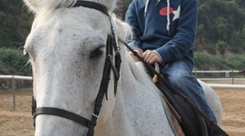 Timeline: 3M Justin Sung Timeline