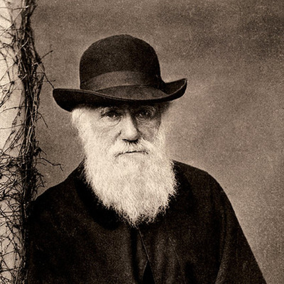 Timeline: Darwin