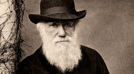 Timeline: Darwin