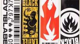 Timeline: Skatebording