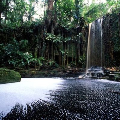 Timeline: Dutch History in Suriname