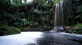 Timeline: Dutch History in Suriname