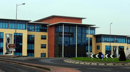 Timeline: Peacocks in Wales