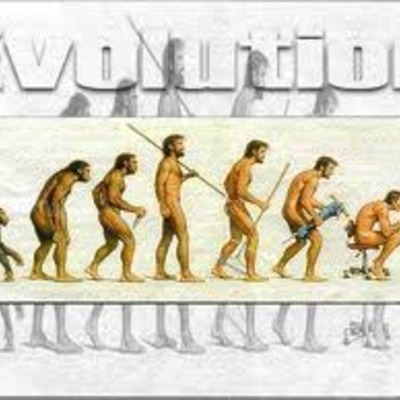 Timeline: La evolución de los homínidos - Marta L.