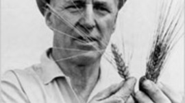 Timeline: Chaoren's Hero's Journey