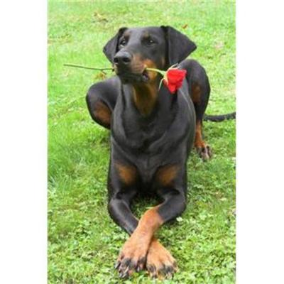 Timeline: First 100 Days of School Timeline