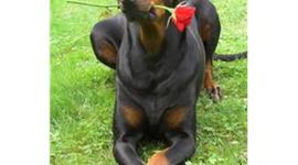 Timeline: First 100 Days of School Timeline