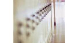 Timeline: 100 Days of School