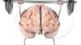 Timeline: 100 days of school