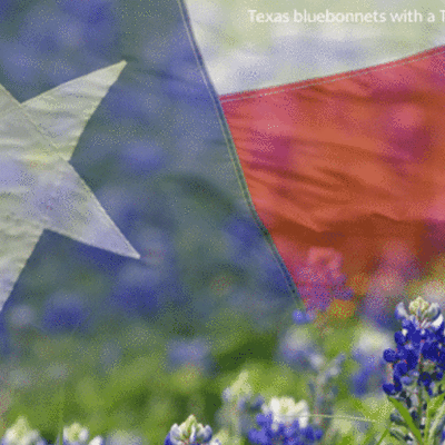 Timeline: My Terific Texas Timeline