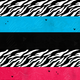 Zebra stripes 169