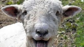 Timeline: Kristen Martin Hero Project