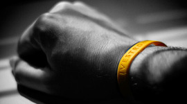 Timeline: Hero Timeline