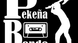 Timeline: Los grandes momentos de Pekeña Banda