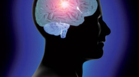 Timeline: Psychology Timeline