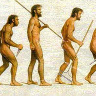 Timeline: Connor's Developmental Psychology Timeline