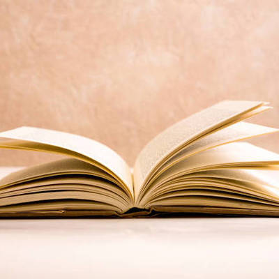 Timeline: Zlata's Diary Timeline