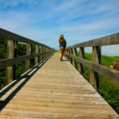 Timeline: Master's Tale of Trials & Successes